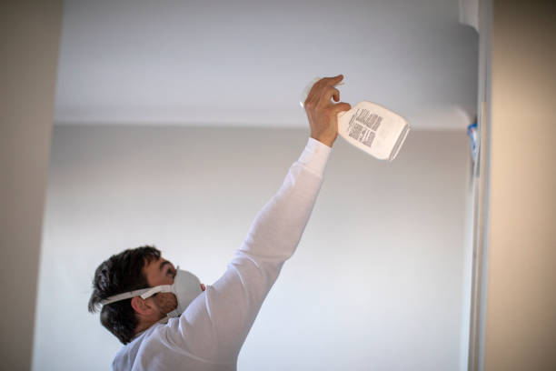 Best Fast Mold Removal  in Mineville, NY