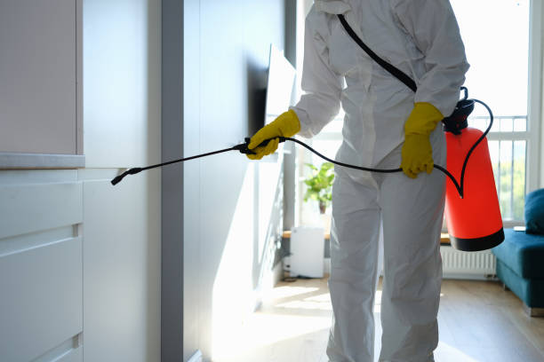 Best Emergency Mold Removal  in Mineville, NY